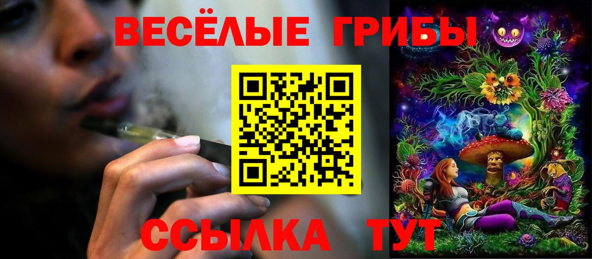 Псилоцибиновые грибы Magic Shrooms  Вход с VPN  Касимов 